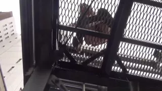 Fetish Asian Teen Peeing