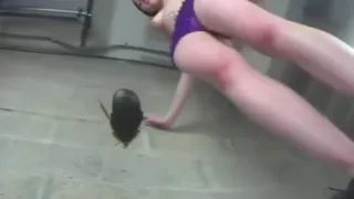 Crush roach with flats clip-24