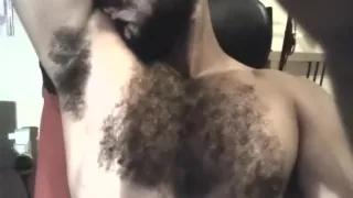 Heißer Bär leckt seine stinkenden Achselhöhlen