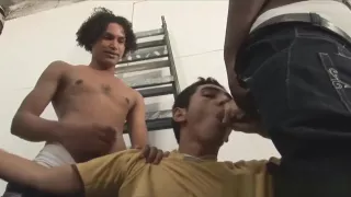 Grande Pénis, Negras, Blowjob, Gay, Sexo Grupal, Interracial
