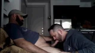 Knospe, der den Schwanz seines Freundes anbetet, bis er ihm in den Hals fällt