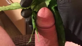 Nettels Self Torture