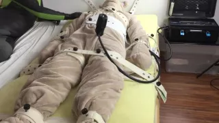 Wie man einen Plüschbären melkt