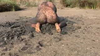 My muddy game.Part 1.