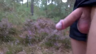 Walk - Masturbation - Piss