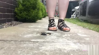 Hard crush before sex