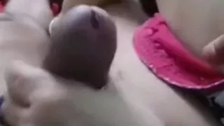 indian couple playing with eachother's body