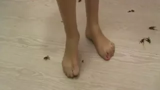 Asian mom relawes on the family crickets