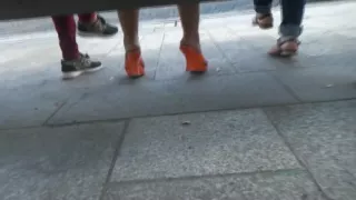 Candid orange mules and pantyhose