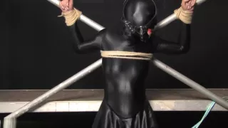 bdsm zentai 02