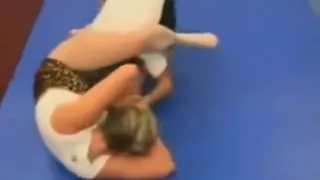 Dww Vs Catfight Haven