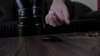 Helga li crush adidas Superstar