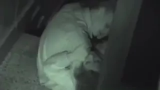 CLIP #126 _ Voyeurismo Public Sex_2