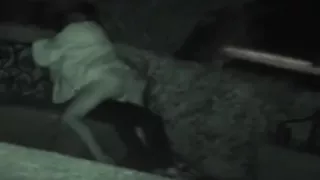 CLIP #120 _ Voyeurismo Public Sex