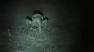 CLIP #207 _ Voyeurismo Public Sex