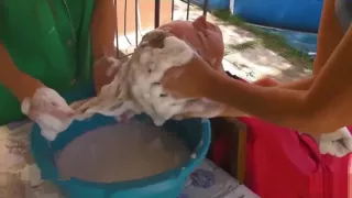 Haare Waschen Und Shampoonieren - 18