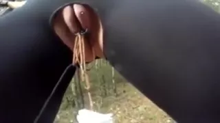 crawling ants