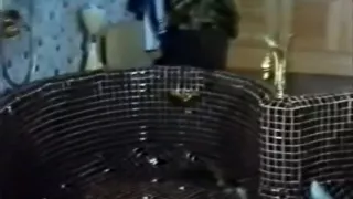 greek vintage part 3