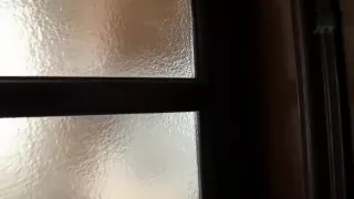 wife japanesse - javhdhay