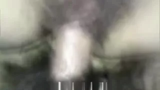 白色丝袜1