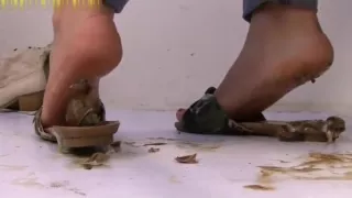 aplastar fetiche espana - silvia high definition 