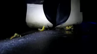 Candid Unknown snail crush part 2