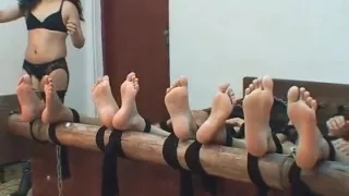 vl_480P_664.0k_33945331