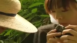 Une japonaise se fait teter les nichons dans une riziere