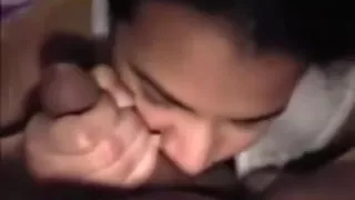 Huge cock sucked till cum