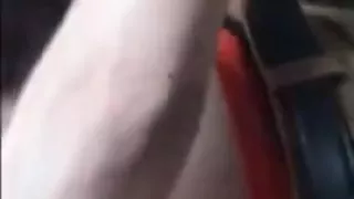 Young busty girl sucks me off quickly in the back seat