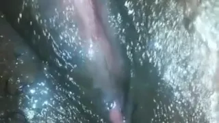 she fucked herself infront of me