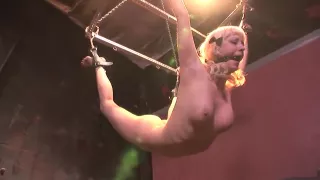 Cherry's the live action christmas tree