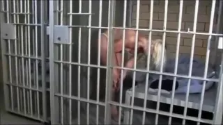 Jail humiliation