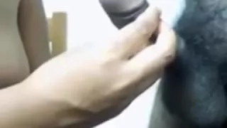 Busty girl sucking dark skinned cock deep