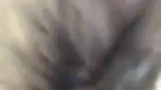 Sonny Robert pans Geraldine