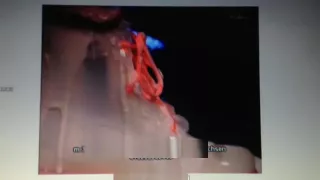 wam feet squish in boots