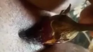 Tiffany Greene from Guyana