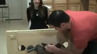 Morgan tickled in Nylons