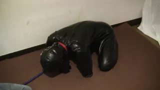 rubberdog