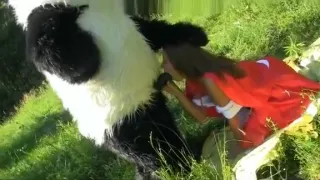 girl sucking huge cock in the woods toy bear