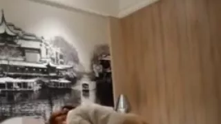 91新人16先生最新第二部-不穿内衣的e杯气质白