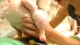 Drunk dad and his sick chicks