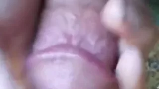 Cumming In The Woods