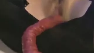 Alien Tentacles Cum On Her Pussy!