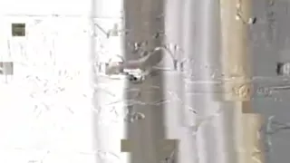 Pia Bajpai Look alike