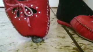 Red slider flats crush snails