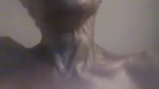 Great grand opening of