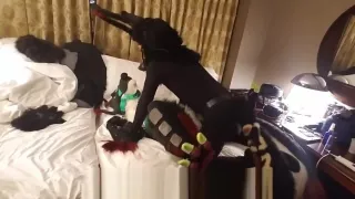 Othieno x Raigr MCFC Room Party Sex Show