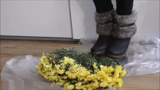 Crushing in schwarzen Keilen