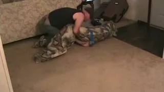 girl wrapped in bed sheet and carried away